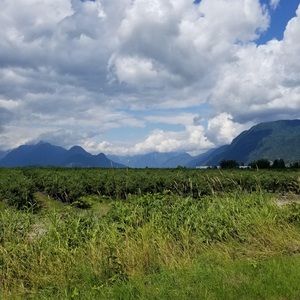 Meet your Posher, William